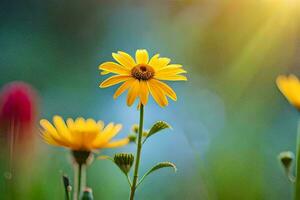 Jaune fleurs dans le Soleil. généré par ai photo