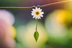 une Célibataire blanc fleur est pendaison de une branche. généré par ai photo