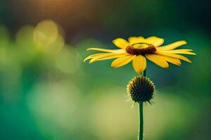 Jaune fleur dans le Soleil. généré par ai photo