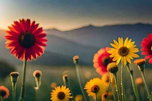 fleurs dans le champ, montagnes, coucher de soleil, fleurs, nature, la nature HD fond d'écran. généré par ai photo