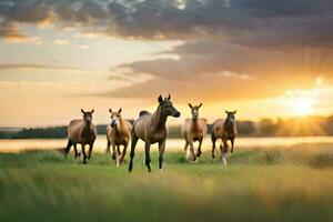 les chevaux fonctionnement dans le le coucher du soleil. généré par ai photo