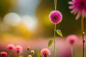 rose fleurs dans une champ avec une floue Contexte. généré par ai photo