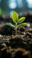 fermer, sol embrasse Jeune usine, natures promettre de croissance et vitalité verticale mobile fond d'écran ai généré photo