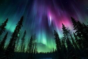 transformé nuit ciel violet et vert aurore danses plus de le des arbres ai généré photo