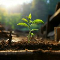 minuscule plante prospère sur Charpente surface, une souffle de Frais la nature à l'intérieur pour social médias Publier Taille ai généré photo