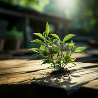 minuscule plante prospère sur Charpente surface, une souffle de Frais la nature à l'intérieur pour social médias Publier Taille ai généré photo