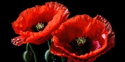 coquelicot journée. Mémoire de tout le soldats qui décédés dans guerres impliquant génial grande-bretagne. génératif ai photo