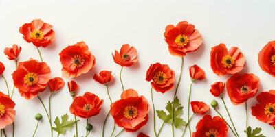 coquelicot journée. Mémoire de tout le soldats qui décédés dans guerres impliquant génial grande-bretagne. génératif ai photo