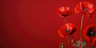 coquelicot journée. Mémoire de tout le soldats qui décédés dans guerres impliquant génial grande-bretagne. génératif ai photo