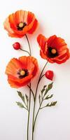 coquelicot journée. Mémoire de tout le soldats qui décédés dans guerres impliquant génial grande-bretagne. génératif ai photo