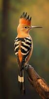 huppe oiseau sur une branche fermer. génératif ai photo