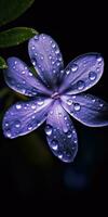 magnifique pervenche fleur avec gouttes de pluie. génératif ai photo