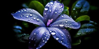 magnifique pervenche fleur avec gouttes de pluie. génératif ai photo