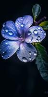 magnifique pervenche fleur avec gouttes de pluie. génératif ai photo