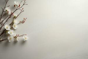 une branche avec blanc fleurs sur une blanc Contexte photo