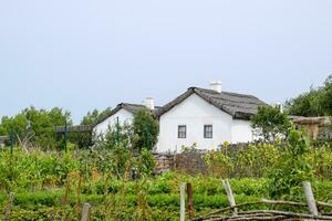 adobe cabane avec une toit de roseaux. résidence cosaque famille photo