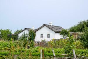 adobe cabane avec une toit de roseaux. résidence cosaque famille photo