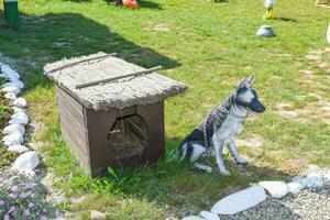 cabine avec une chien mannequin photo