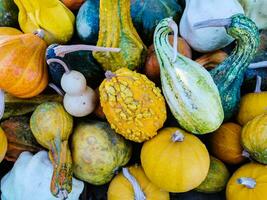 décoratif citrouilles dans différent formes et couleurs photo