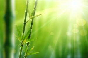 vert bambou des arbres contre bleu rayons de soleil. ai généré photo