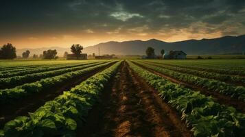 agriculture ferme la nature ai généré photo