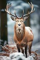 cerf sur neige la nature arrière-plan, ai généré photo