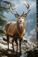 cerf sur neige la nature arrière-plan, ai généré photo