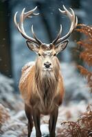 cerf sur neige la nature arrière-plan, ai généré photo