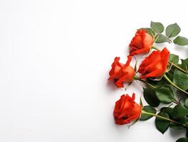 magnifique Rose fleurs sur plat arrière-plan, Haut voir. espace pour texte ai généré photo