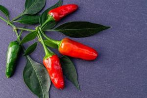 légume épicé au piment rouge photo