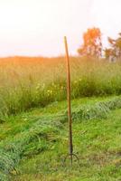 foin de fourche planté dans le pré photo