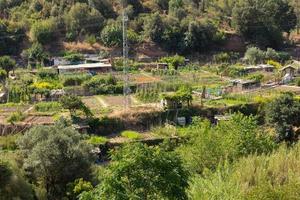 petits jardins potagers dans le joli village de cervello barcelona photo