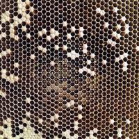 la structure hexagonale est en nid d'abeille d'une ruche remplie de miel doré photo