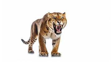 une dent de sabre tigre Smilodon sur une blanc Contexte. génératif ai photo