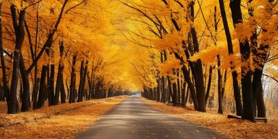 l'automne forêt paysage avec route et chaud lumière du soleil éclat par branches de des arbres, coloré nature, ai génératif photo