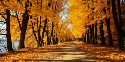 l'automne forêt paysage avec route et chaud lumière du soleil éclat par branches de des arbres, coloré nature, ai génératif photo