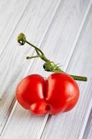 fruit ou légume laid. tomate mutante gravement malformée photo