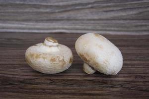 gros plan de champignons. champignons de Paris photo