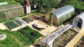 vue de dessus du potager. lits avec des légumes et des baies photo