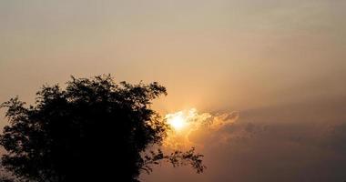 coucher de soleil paysage abstrait avec silhouette d'arbres pour le fond de la nature