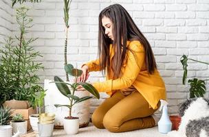 jardinier femme prenant soin de ses plantes de jardin photo