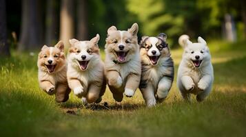 chiots dans récréation frénésie, ai génératif photo