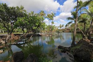 Étang à poissons dans le parc historique de Kalahuipuaa sur la grande île d'Hawaï photo
