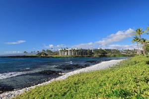 beau paysage de l'île d'hawaï, côte de kohala photo