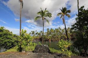 Étang à poissons dans le parc historique de Kalahuipuaa sur la grande île d'Hawaï photo