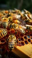 apiculteurs fermer nids d'abeille faire équipe avec les abeilles, artisanat Miel, une remarquable Partenariat verticale mobile fond d'écran ai généré photo