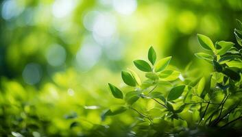 proche en haut de la nature vue vert feuille sur flou verdure Contexte. ai généré. photo