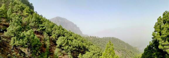 paysage de le île de la palma dans le canari archipel photo