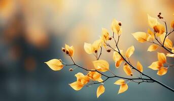 Contexte avec feuilles dans l'automne couleurs. ai généré photo