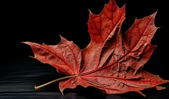 vibrant l'automne vieux sec érable feuille sur foncé Contexte. ai généré photo